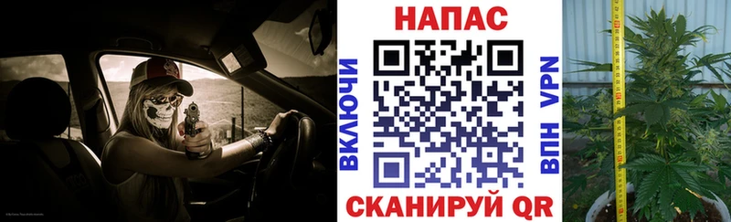 Купить наркотики цена Высоковск Галлюциногенные грибы СК Амфетамин Бошки Шишки МЕФ ГАШ