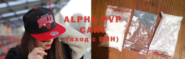 прущий лед Богданович