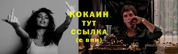 прущий лед Богданович