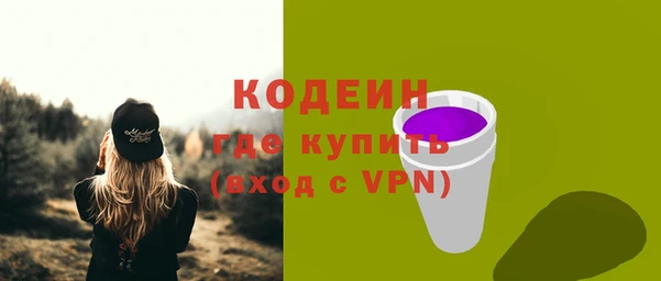 прущий лед Богданович