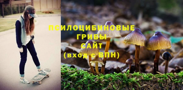 прущий лед Богданович