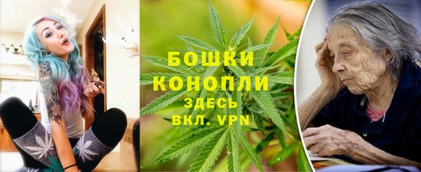 крисы Богородск