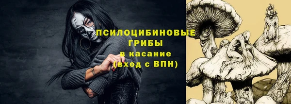 прущий лед Богданович