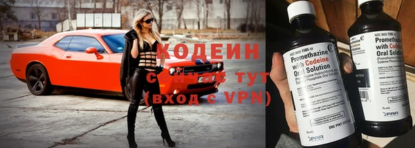 крисы Богородск