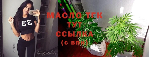 крисы Богородск