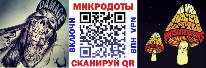 Галлюциногенные грибы Psilocybine cubensis  продажа наркотиков  Высоковск 